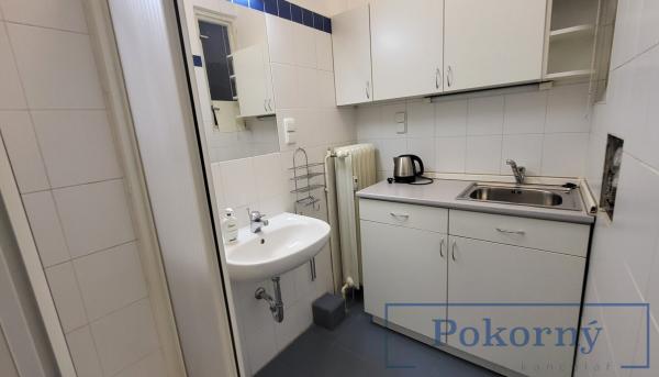 Pronájem světlého ateliéru v cihlovém domě, P6 - Dejvice