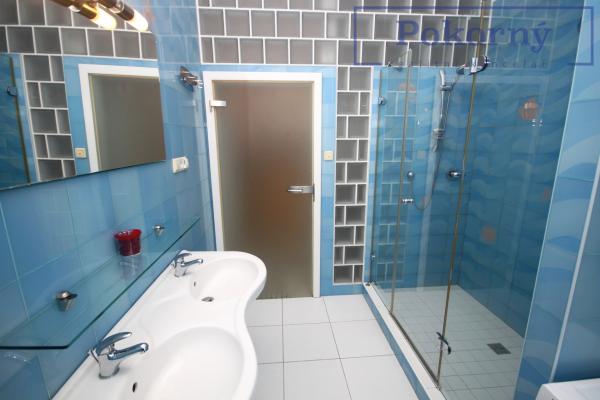 Pronájem světlého bytu 4+1 po rekonstrukci, Václavské náměstí, Praha 1