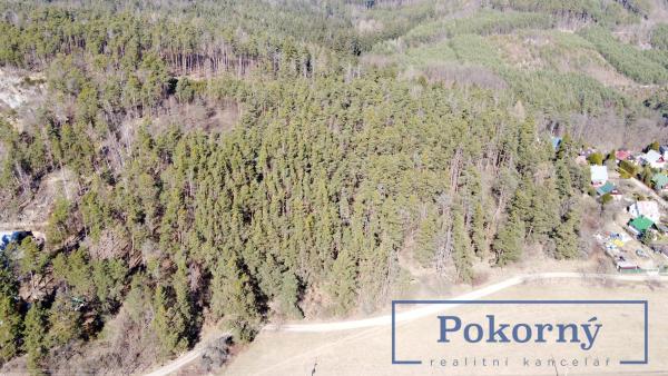 Prodej lesa s lesním porostem Praha - západ