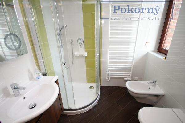Pronájem bytu 1+kk v novostavbě rodinného domu, s bazénem